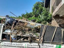 Best Yard Waste Removal  in Davenport, IA